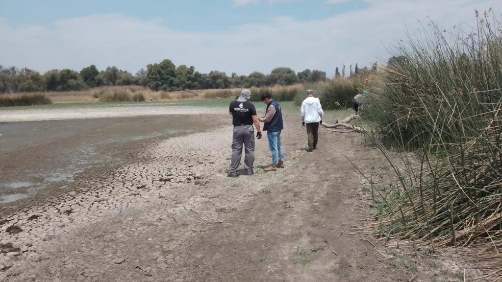 Monitoreo constante de presas y cauces realiza brigada de Conagua por temporada de lluvias